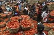 NORTHERN NIGERIA IN FREEFALL