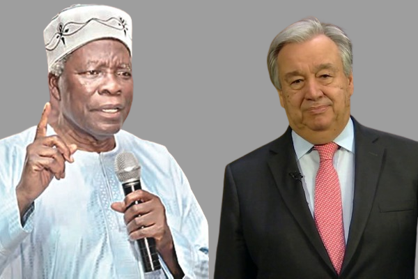 Don’t listen to Buhari, visit scenes of terrorist attacks, Akintoye tells UN secretary