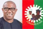 2023: Massive Peter Obi National Structure And Those Behind It Unveiled