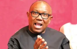 Peter Obi Files 51 Grounds Of Appeal Against Tribunal Judgment At Supreme Court
