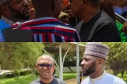 I’m Being Targeted At Home And Abroad – Peter Obi Raises Alarm