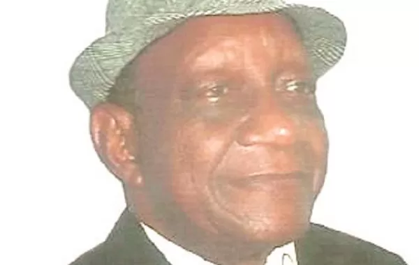 Terrorism: Hold some northern govs responsible, by Dele Sobowale