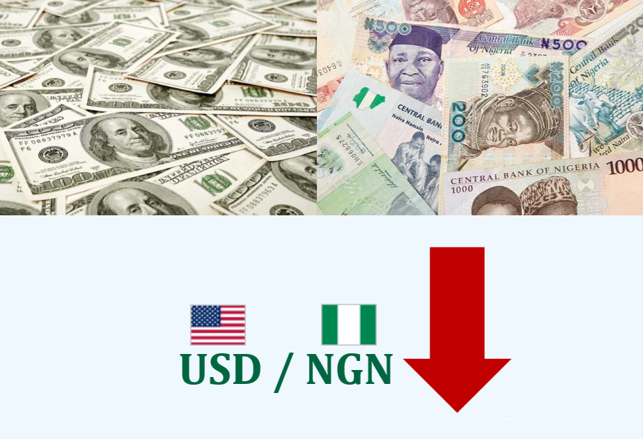 US Dollar vs NIG Naira: The Real Issues