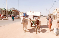 Katsina Residents Turn To Ox-Driven Carts, Donkeys, Bicycles To Cut Transportation Cost