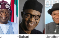 One year of Tinubu