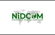 Diaspora Commission Confirms Mistreatment Of Nigerian Pilgrims At Cairo Airport In Egypt, Calls For Vigilance
