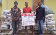 NDLEA Raids Lagos Warehouse, Seizes ₦4.7-Billion In Cocaine And Meth, Arrests Siblings In Aba