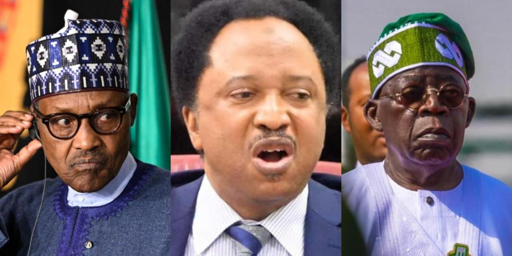 Northern Political Forces Are Presently Rallying Buhari In Plot To Sack Tinubu’s Government – Shehu Sani 