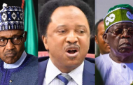 Northern Political Forces Are Presently Rallying Buhari In Plot To Sack Tinubu’s Government – Shehu Sani 