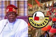 Nationwide Protest: Tinubu's Aides Such As Onanuga Are Chasing Rat When House Is On Fire – Ohanaeze Ndigbo