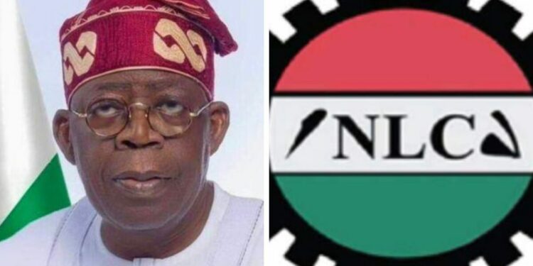 We’ll shut Nigeria’s economy if…, NLC warns FG
