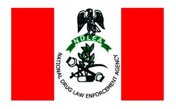 NDLEA arrests Iran-bound Woman with Cocaine in Private Part, Stomach and Bag [PHOTOS]