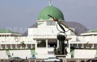 Nigerian National Assembly Declares South Africa No-Go Area, Protests Over Xenophobic Attacks