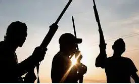 Yoruba leaders, youths demand urgent action to address Southwest security crisis