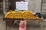 NDLEA Intercepts N6.5bn Opioids In Lagos, Rivers Ports, Arrests Two British Nationals (Photos)