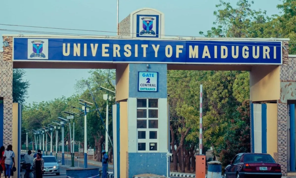 Why We Should Stop Renaming Well-Established Universities