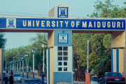Why We Should Stop Renaming Well-Established Universities