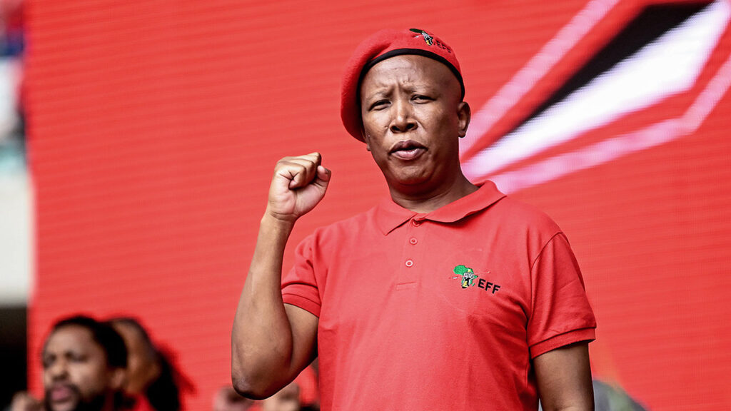 We Need A Single Africa Presidency, Currency - Malema Suggests at NBA's Annual Conference