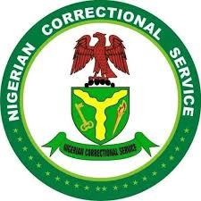 8,246 mentally ill inmates in custody nationwide–NCoS