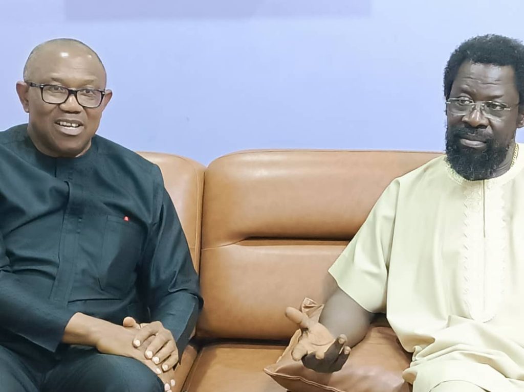 ‘What Did Obasanjo, Buhari Do With Eight Years’ – Farotimi Backs Peter Obi’s One Term Presidency