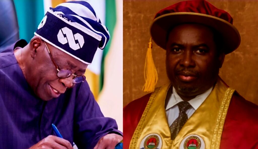 New INEC Boss and Tinubu’s Visibilization of Northern Yorubas
