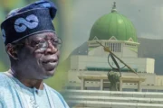 Police orderly withdrawal: Senators kick, Tinubu insists
