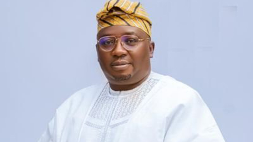 Nigerians To See Better Electricity Supply Within Two Weeks – Power Minister, Adelabu’s Aide