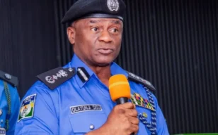 State Police: We’ve studied India, America, Pakistan’s models – IGP Disu