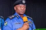 State Police: We’ve studied India, America, Pakistan’s models – IGP Disu