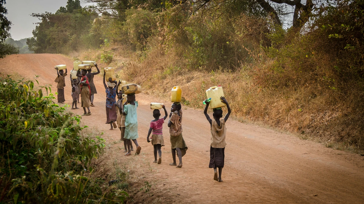 NCNE says 5.2 million nomadic children shut out of school across Nigeria