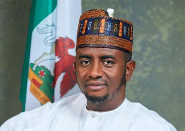 Bauchi senator denies banditry allegations, presents himself for DSS probe