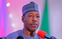 Insurgency destroyed 5,000 schools, deprived 2.2m children of schooling – Zulum