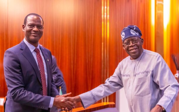 Noise vs. Numbers: Why Nigeria Must Cast its 2027 Vote for Economic Continuity